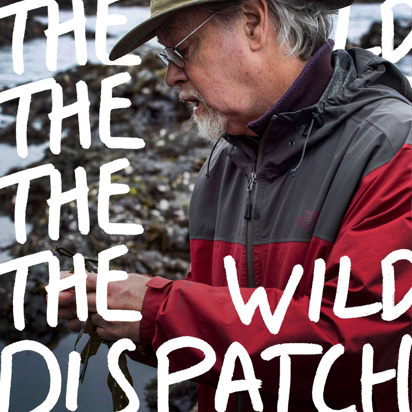 Ep:026 Larry Knowles ↣ Edible Seaweed, Spear-Fishing & The Life Aquatic