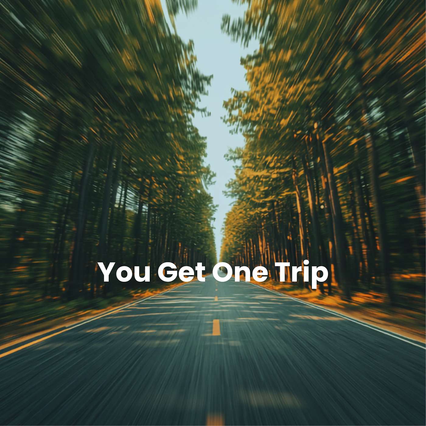 YOU GET ONE TRIP