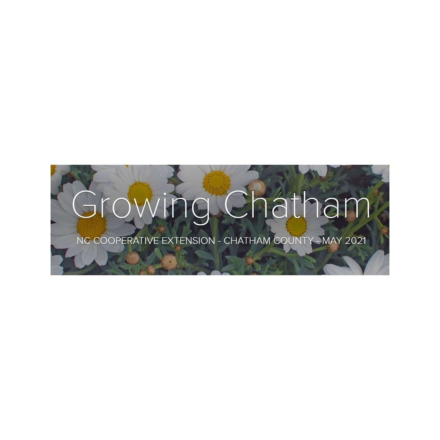 Growing Chatham May Edition