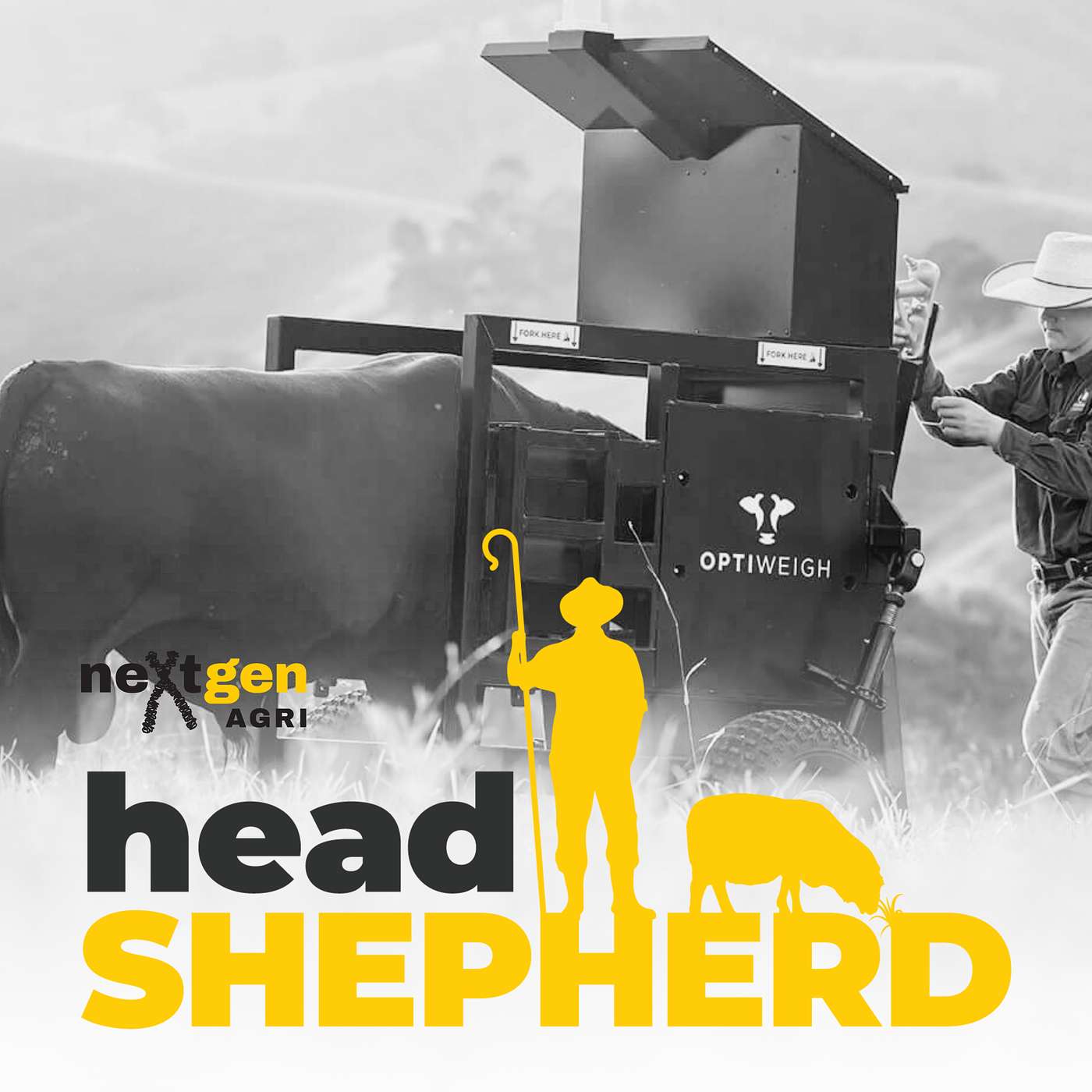 Head Shepherd