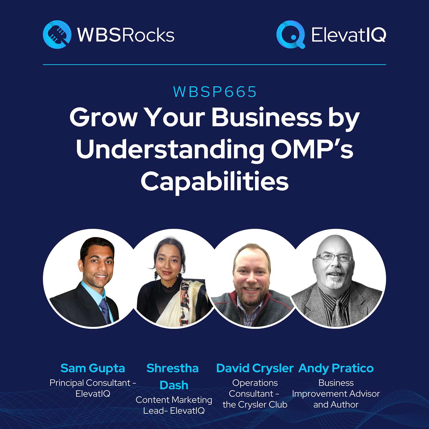 WBSRocks: Business Growth with Enterprise Software and Digital Transformation