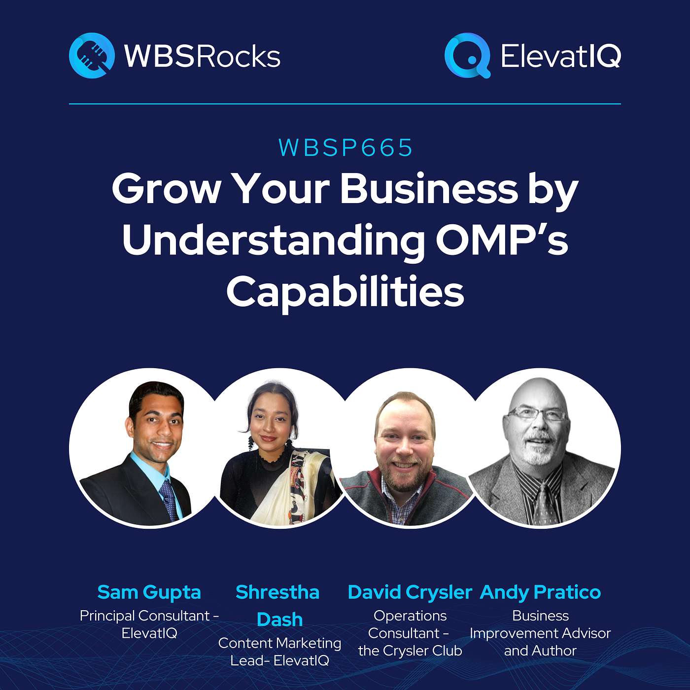 WBSP665: Grow Your Business by Understanding OMP’s Capabilities, an Objective Panel Discussion