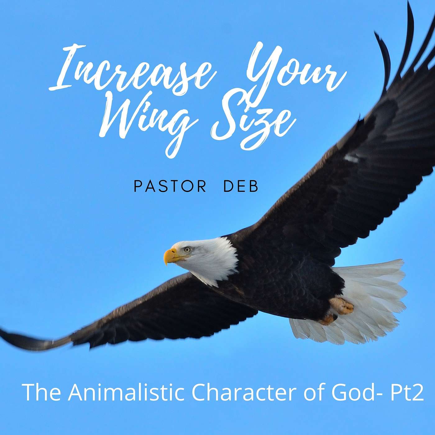 INCREASE YOUR WING SIZE: The Animalistic Character of God Pt 2 episode artwork