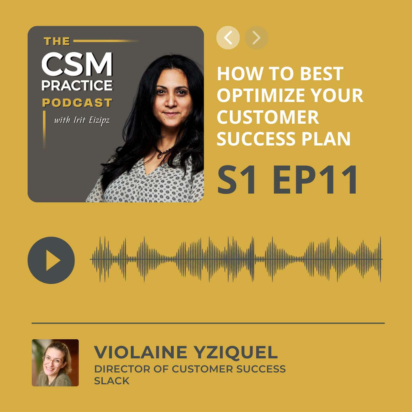 CSM Practice - The Customer Success Podcast