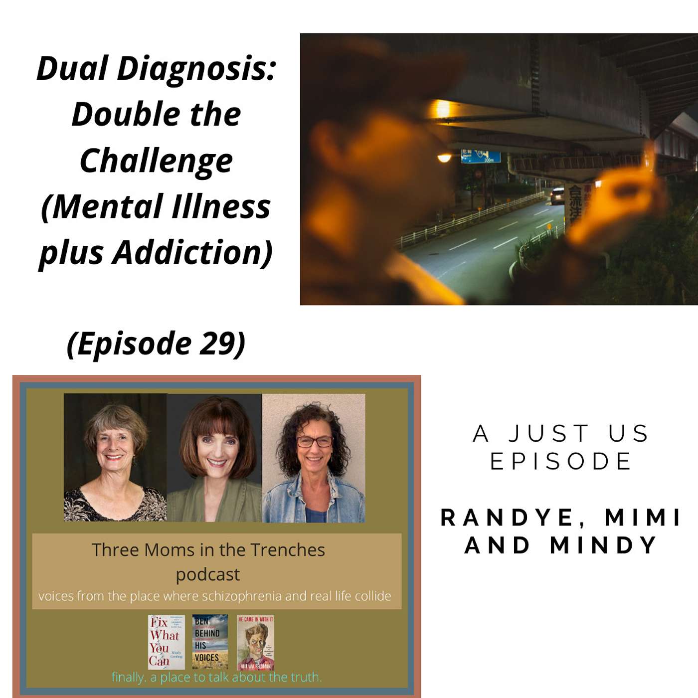 Schizophrenia: Three Moms in the Trenches