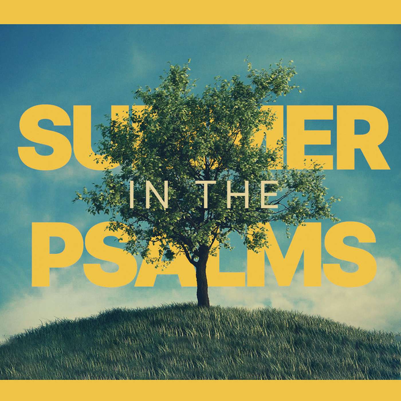 What is the key to happiness? • Psalms 1 • Steve Musto episode artwork