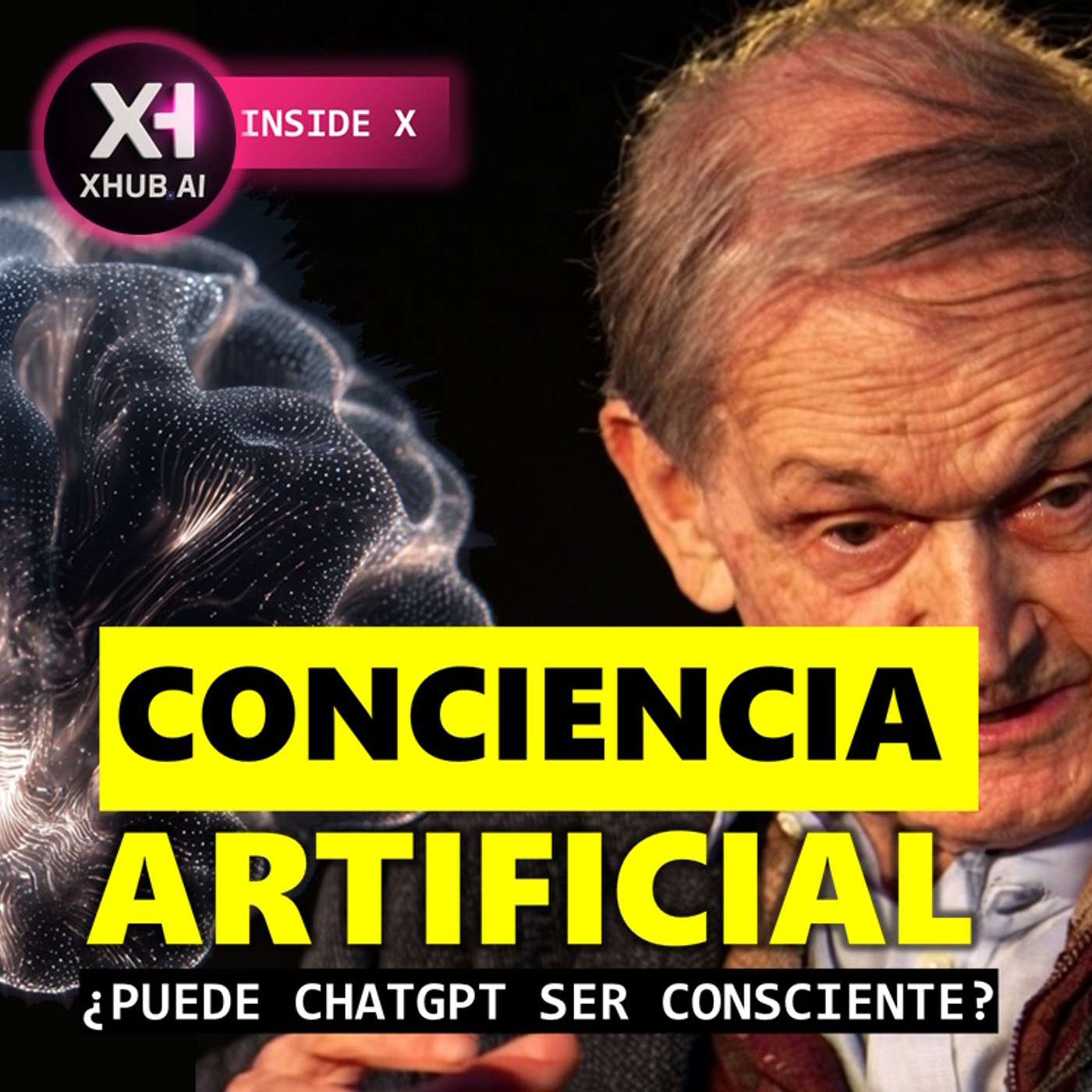 T6.E021. INSIDE X CONCIENCIA ARTIFICIAL ¿Puede ChatGPT ser consciente?