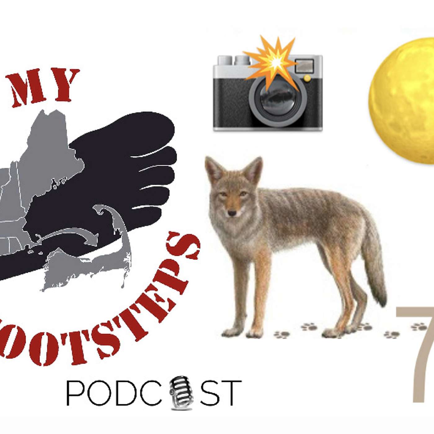 In My Footsteps: A Gen-X Nostalgia Podcast