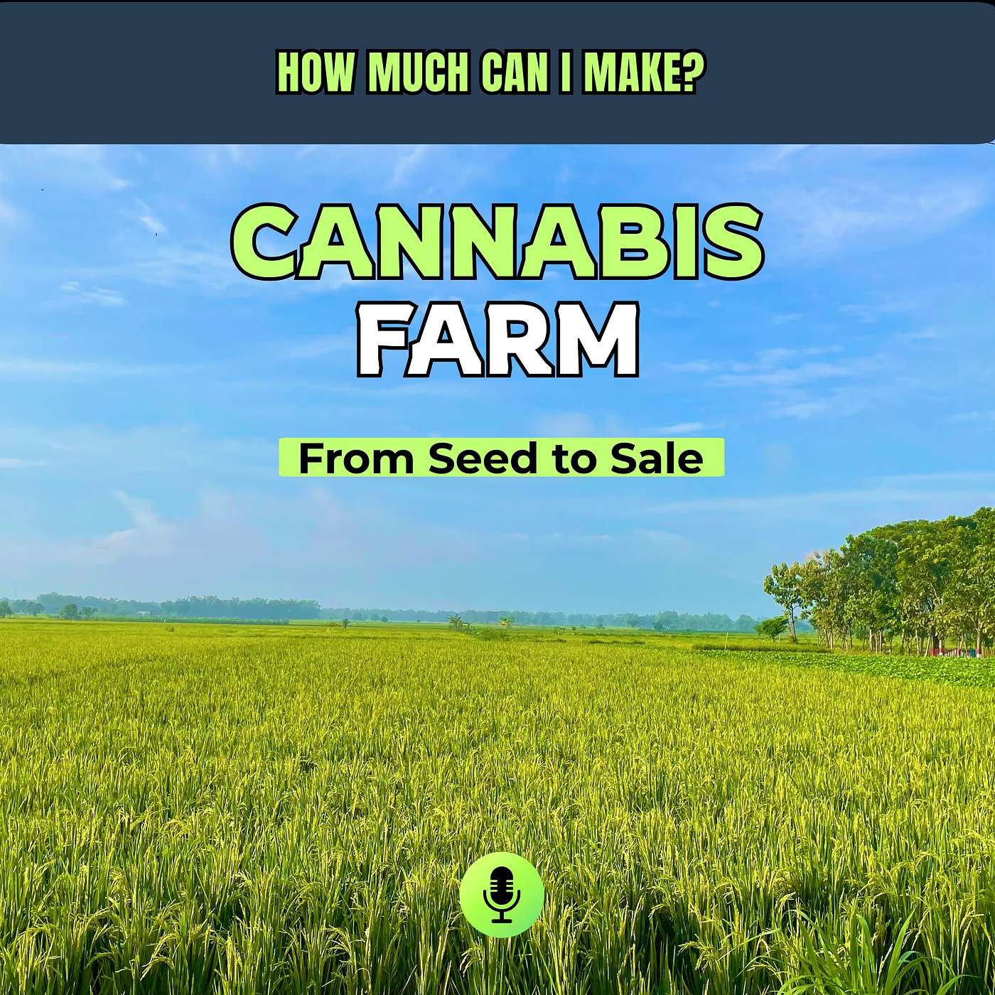 Inside a Legal Cannabis Farm: Careers, Costs & Income