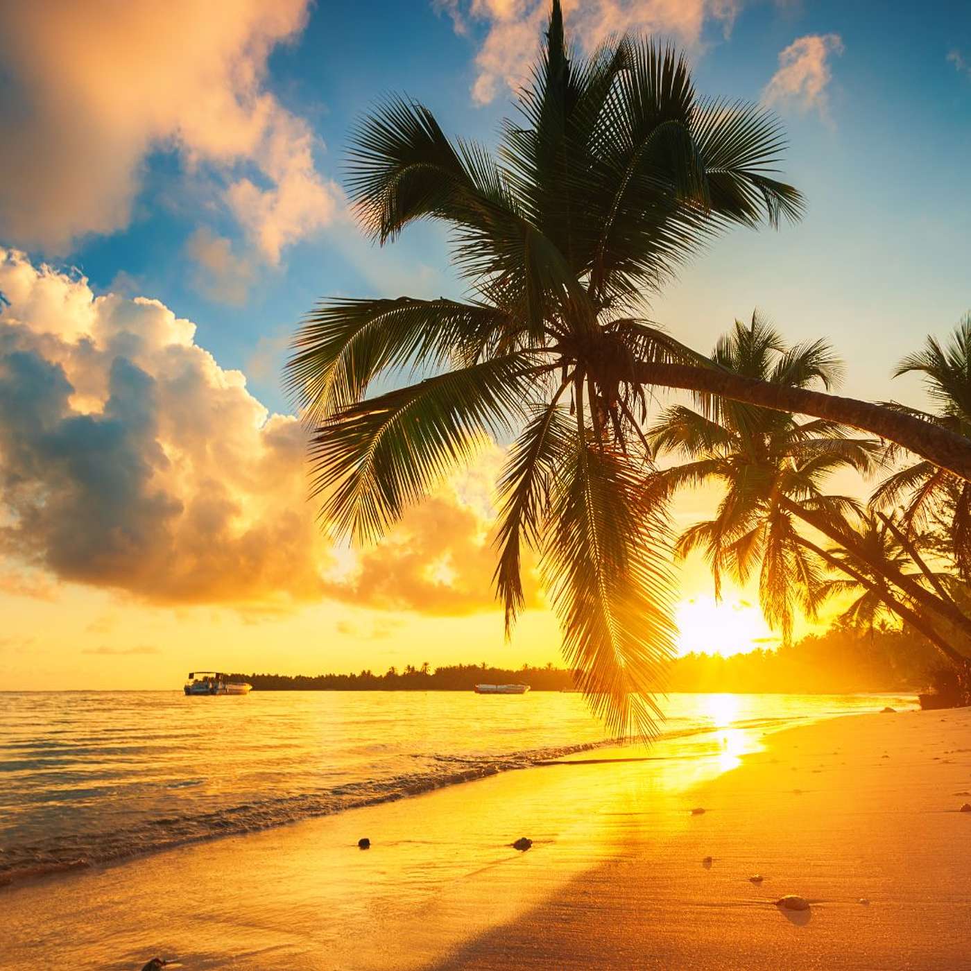New Year, New Adventures: Dominican Republic Luxury Resolutions for 2024 episode artwork