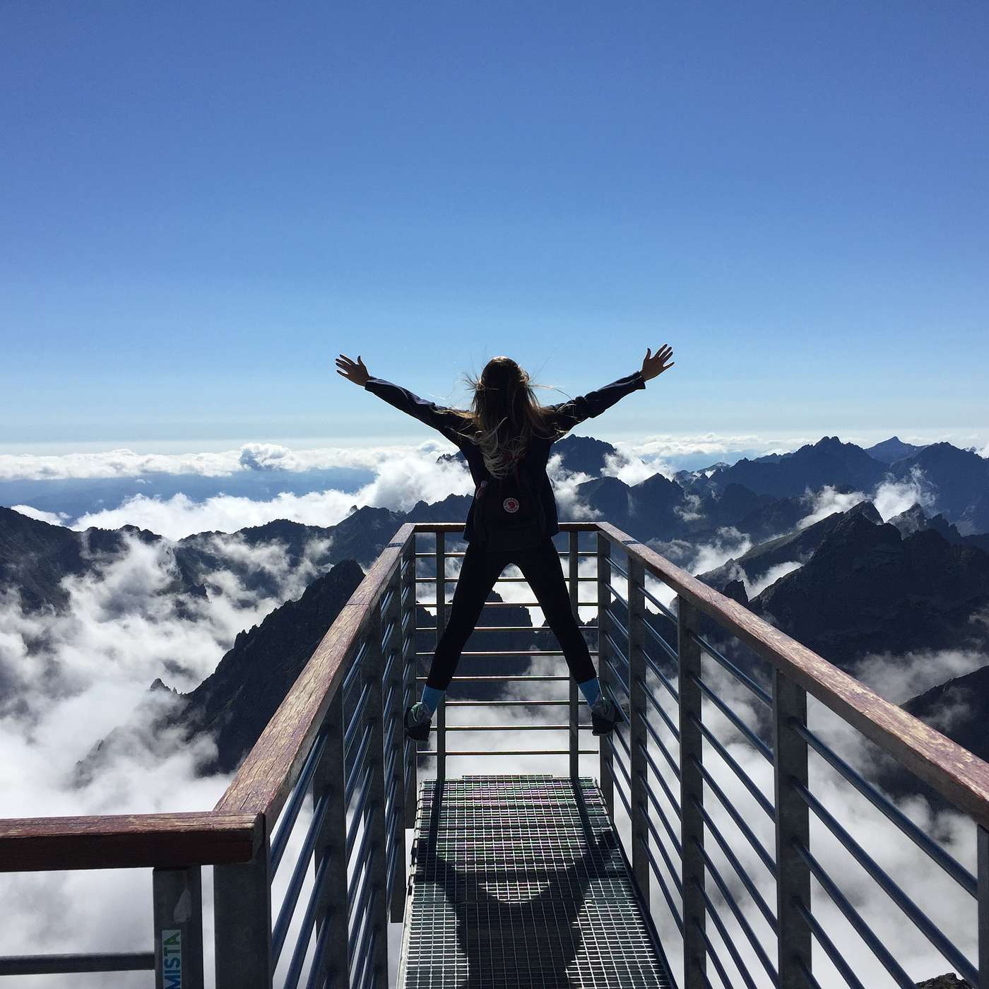The Art and Science of Thriving