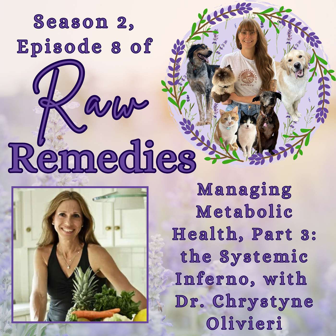 Managing Metabolic Health, Part 3: the Systemic Inferno, with Dr. Chrystyne Olivieri episode artwork