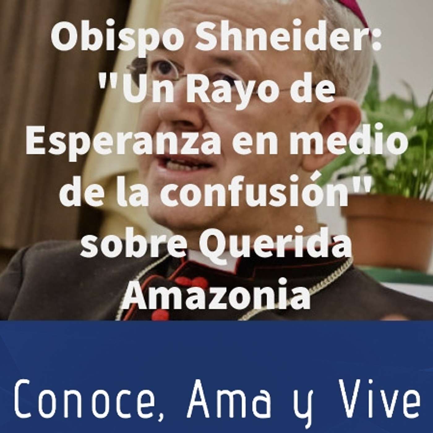 Episodio 197: ✝️ Obispo Shneider: "Un rayo de luz en medio de la Confusión "  📗 Análisis de Querida Amazonia 🎋 episode artwork