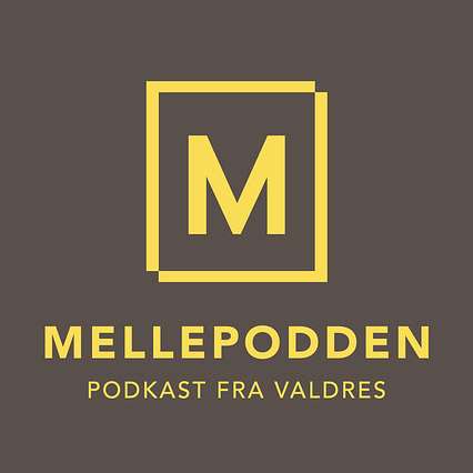 Mellepodden