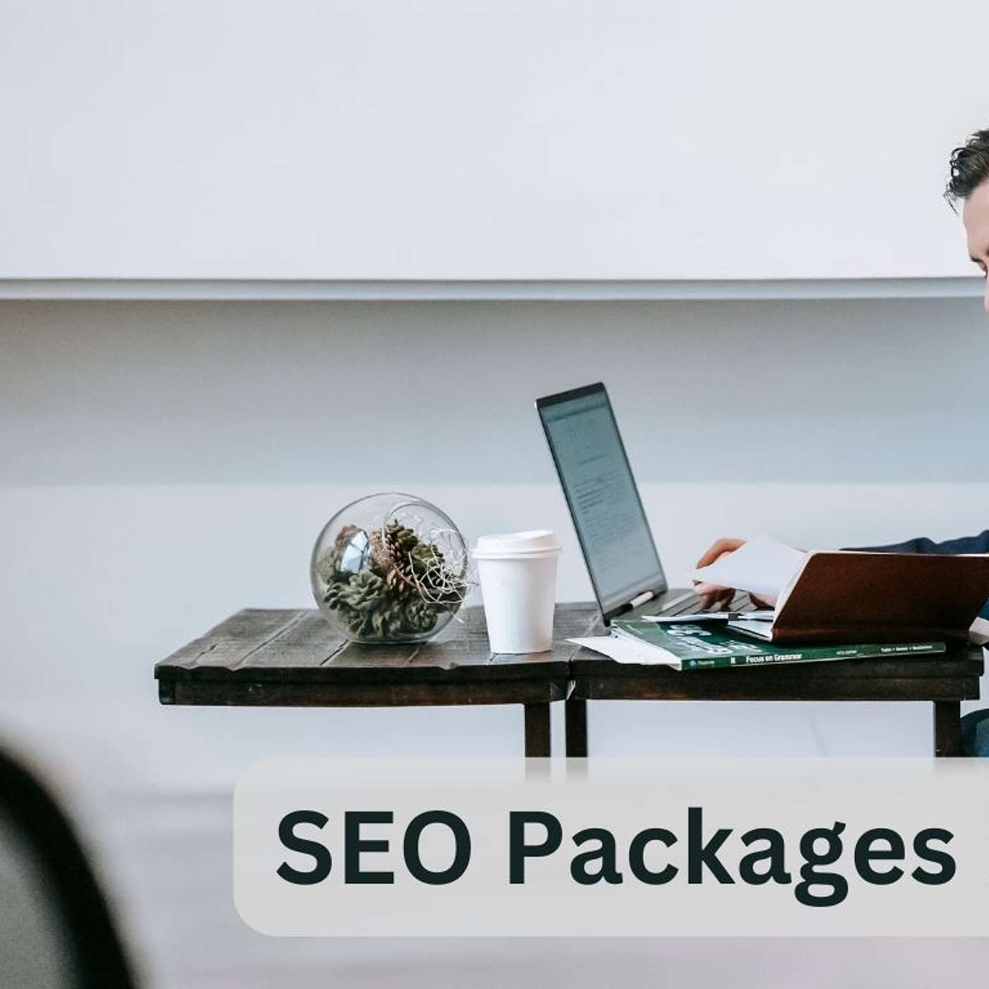 Unpacking SEO Packages India: Find the Perfect Plan for Your Business Growth!