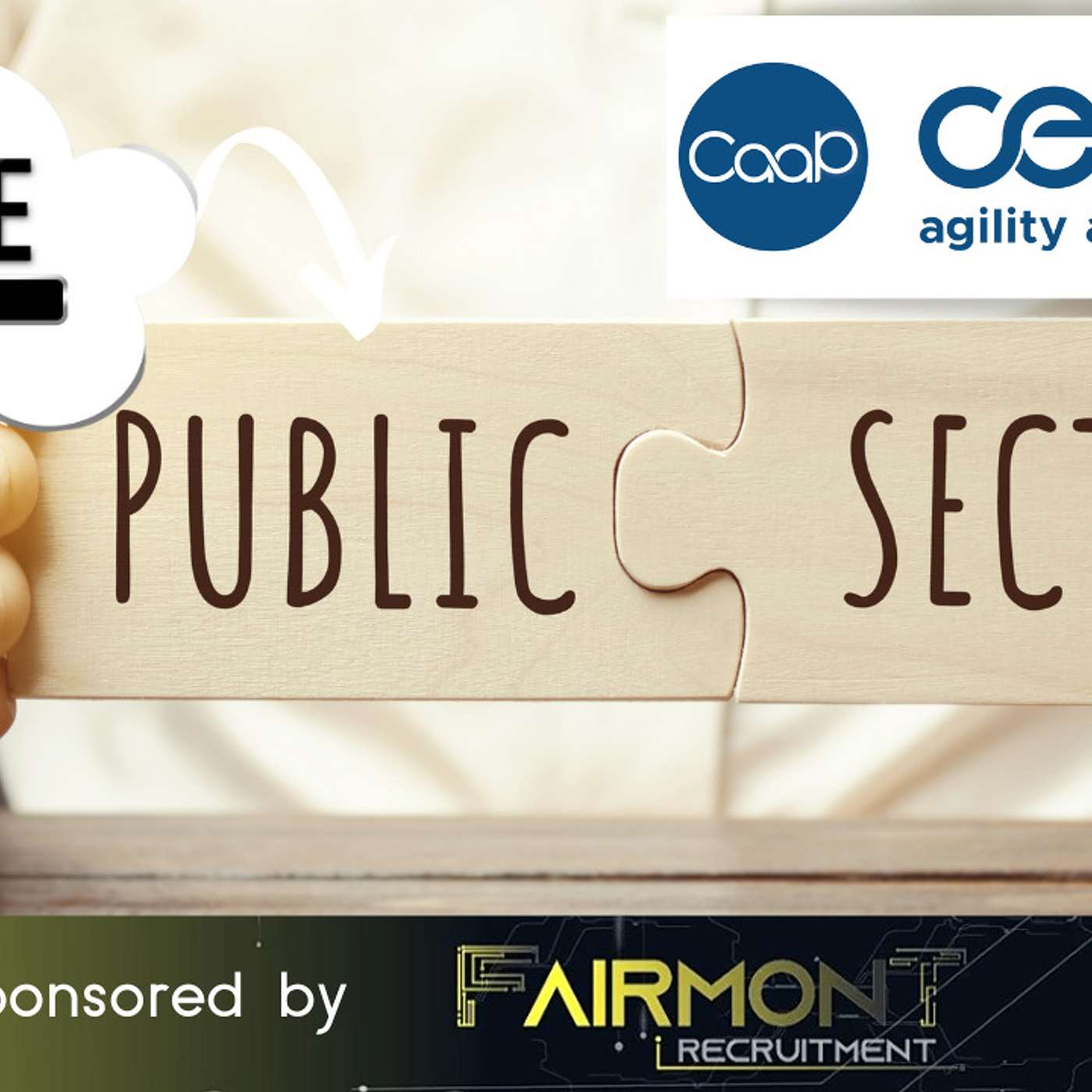 Agile in the UK Public Sector and its success factors