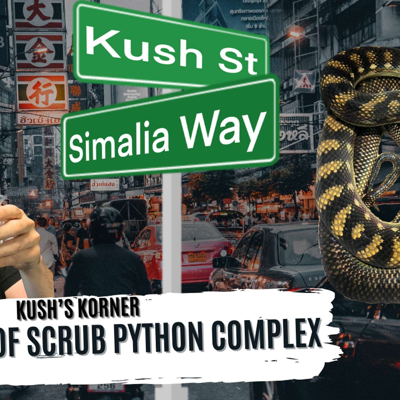 OVERVIEW OF THE SCRUB PYTHON COMPLEX | KUSH'S KORNER LIVE
