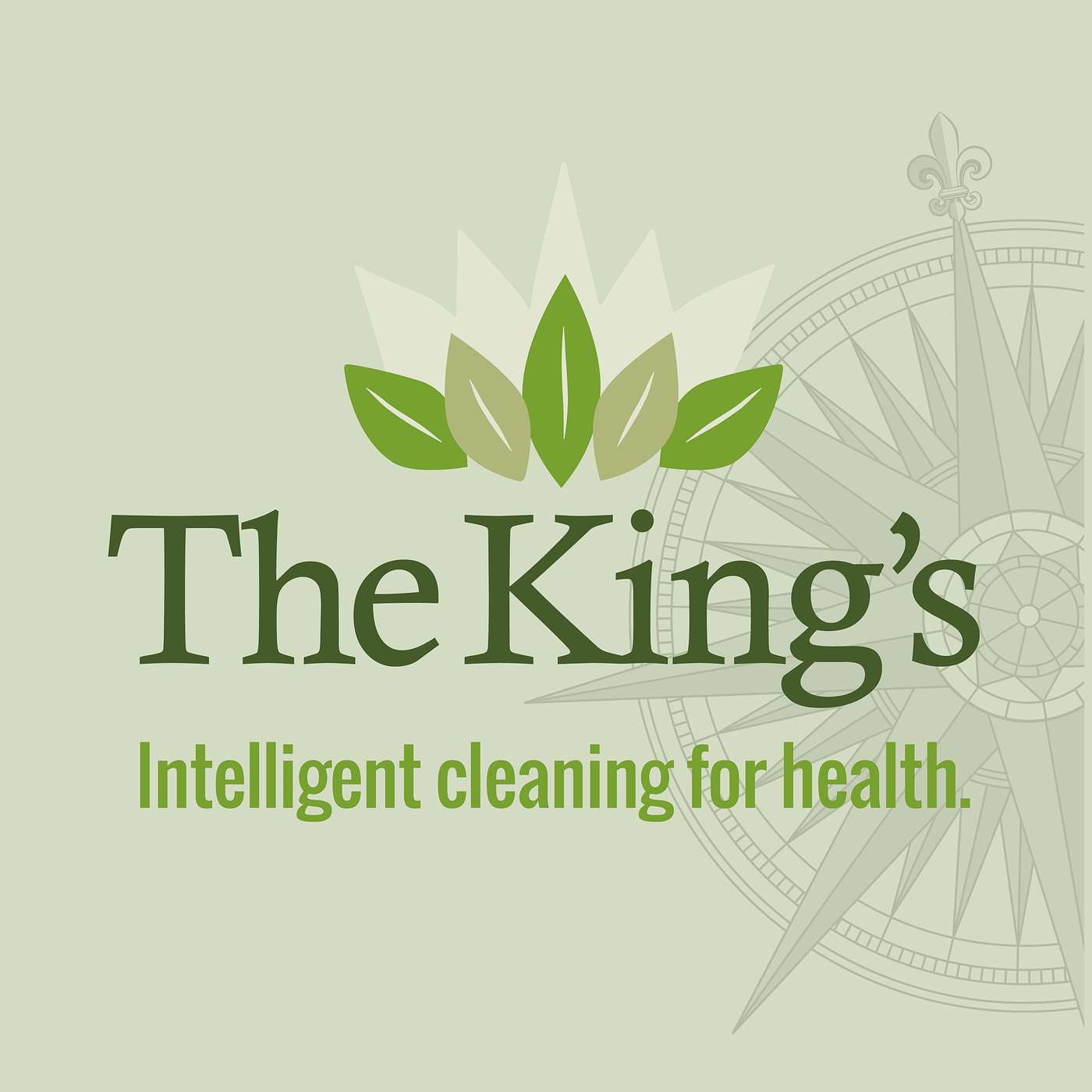 The Science and Engineering of Cleaning Schools for Health