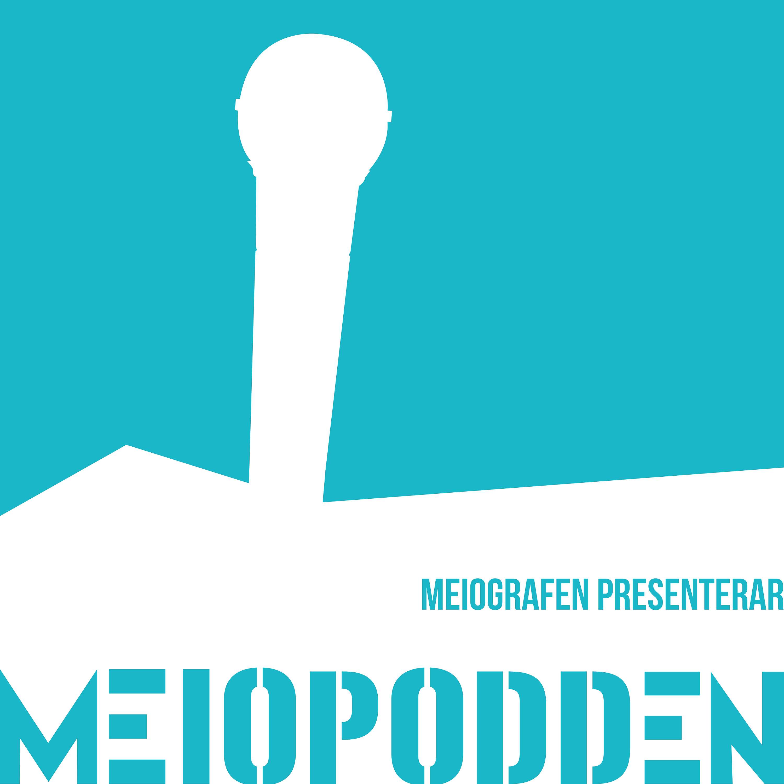 Meiopodden