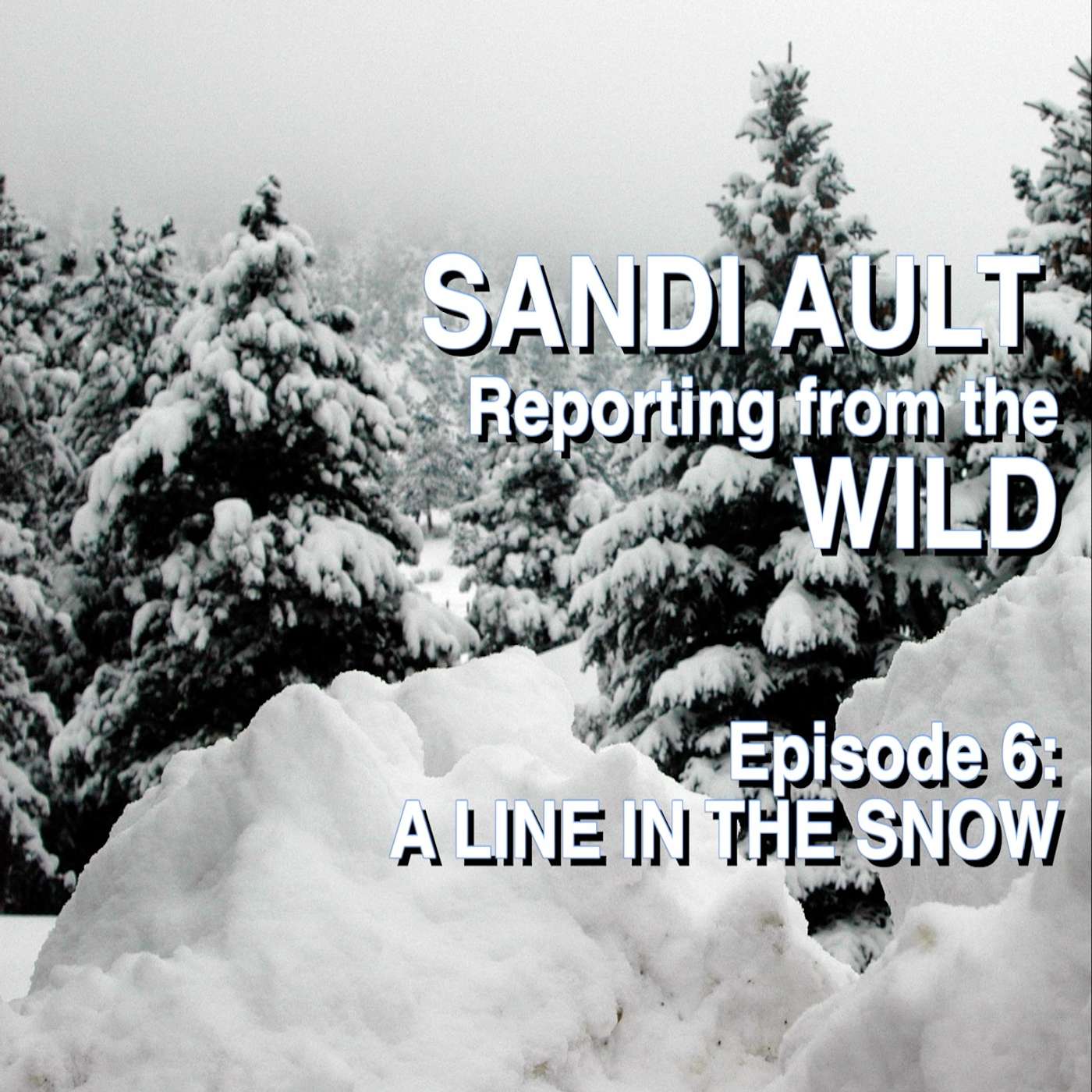 SANDI AULT—Reporting from the WILD