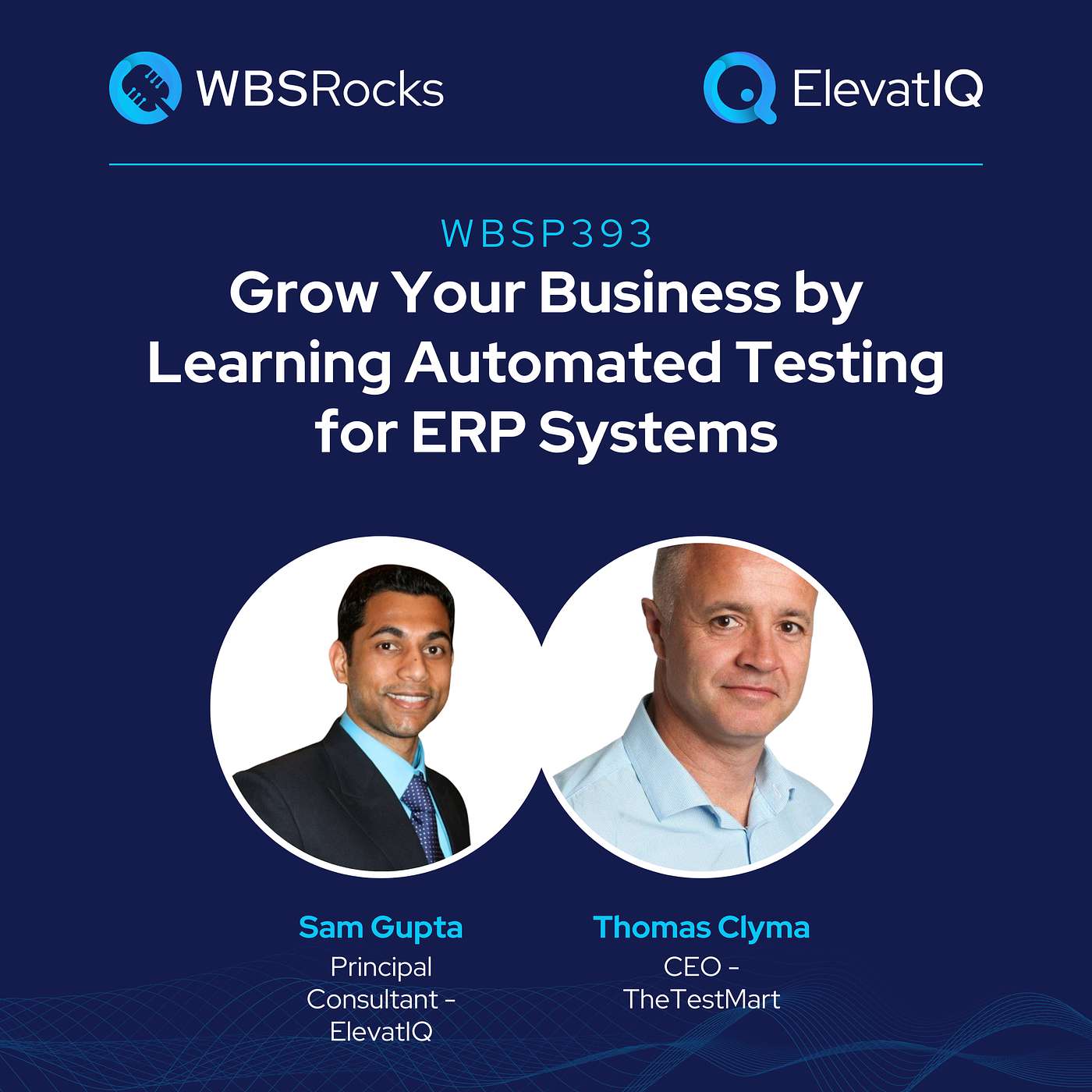 WBSP393: Grow Your Business by Learning Automated Testing for ERP Systems w/ Thomas Clyma