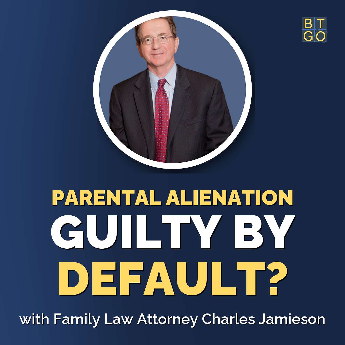 Charles Jamieson: Parental Alienation, False Abuse Claims & How to Fight Back in Family Court episode artwork