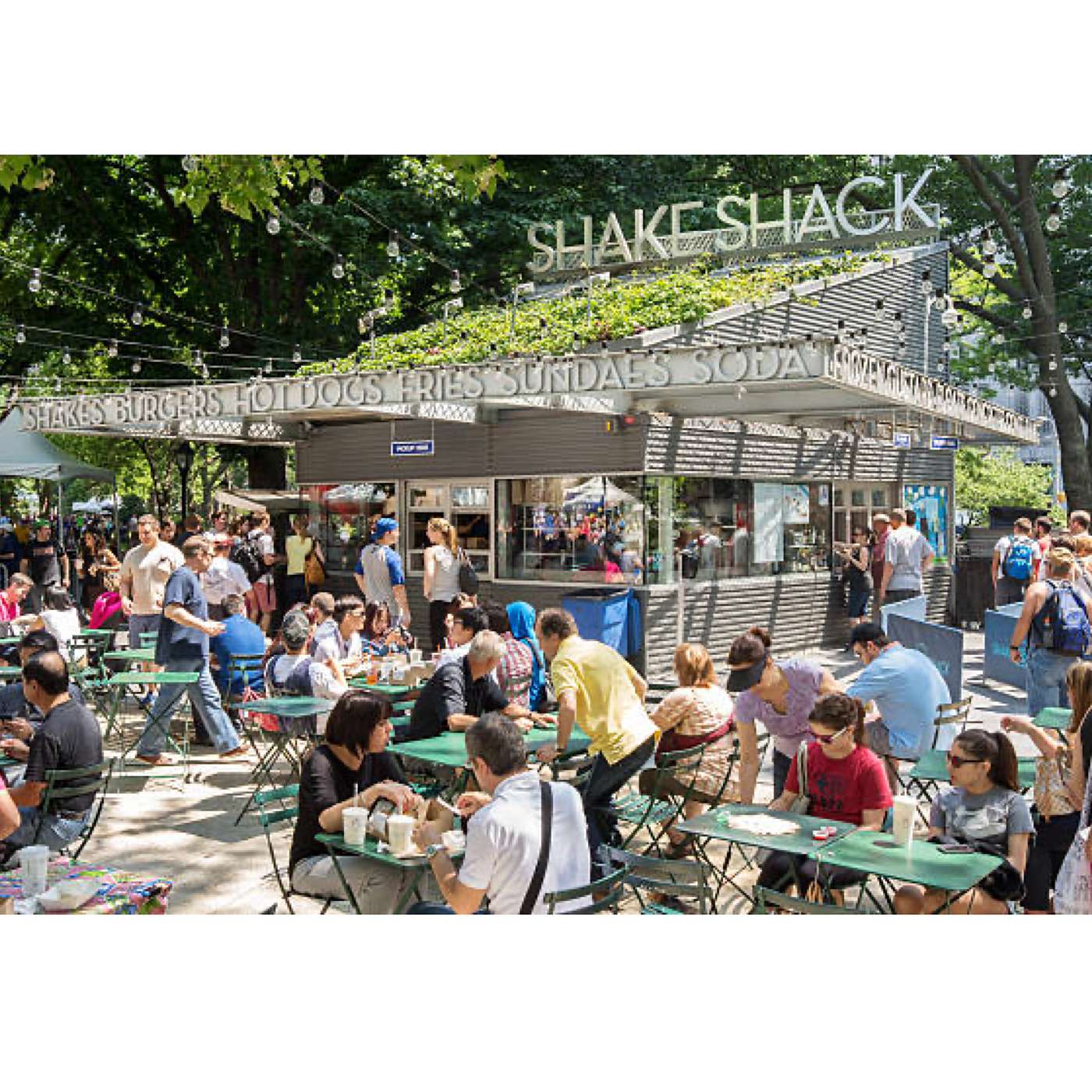 Tuesday, February 3, 2026 - Shimmy on over to the SHAKESHACK! 🍔🧋