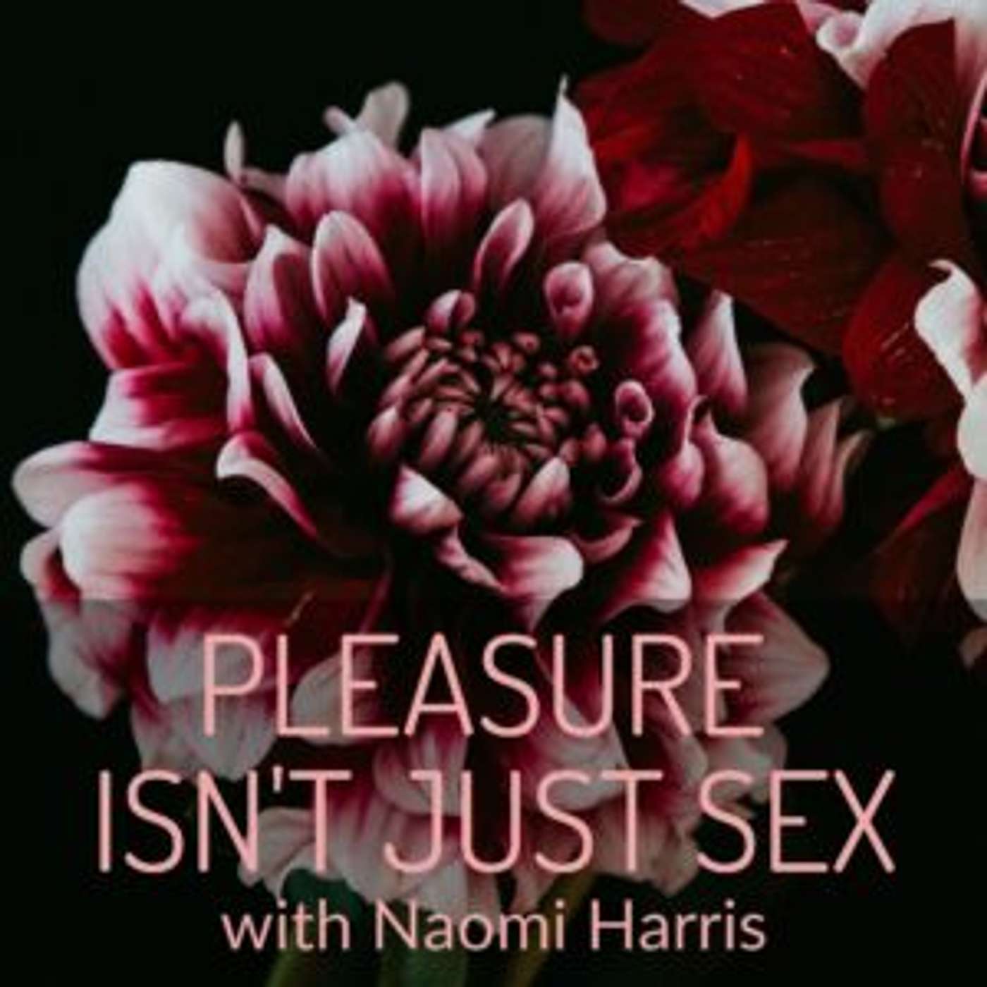 Episode 1: This is Pleasure Isn’t Just Sex