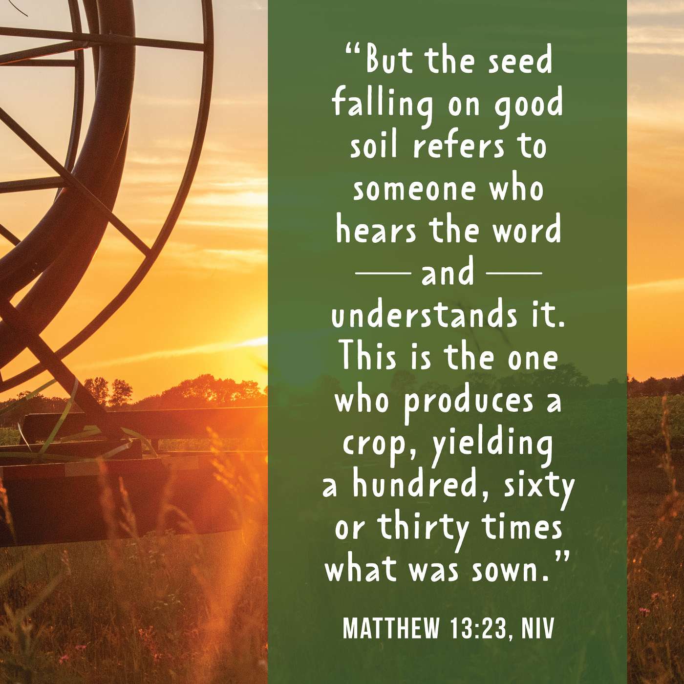 7-16-23 The Parable of the Sower: Cultivating a Receptive Heart episode artwork