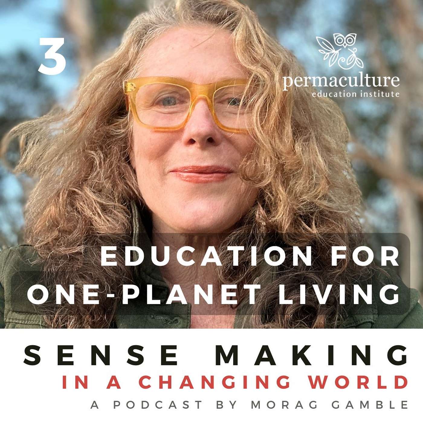 Sense-Making in a Changing World