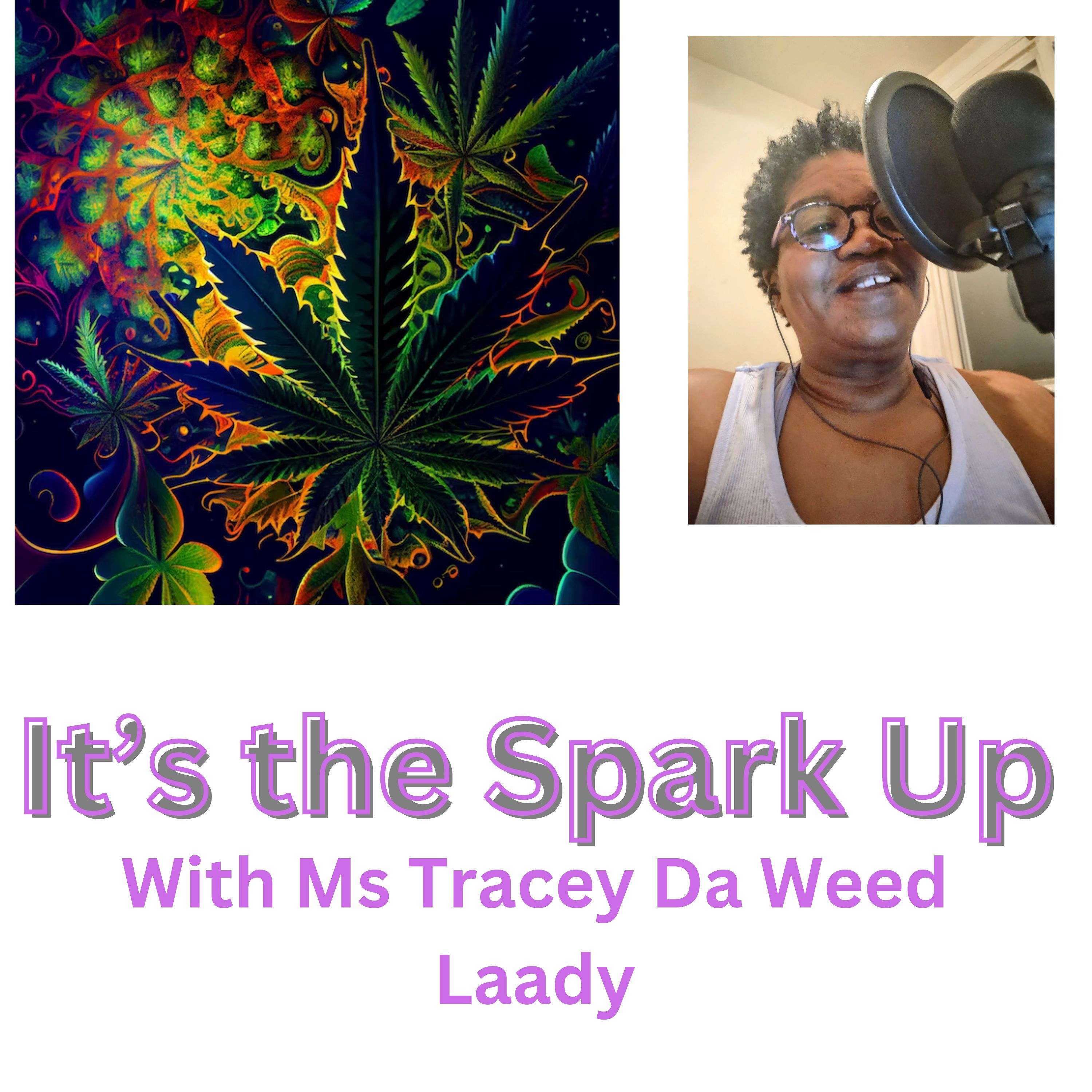 It's The Spark UP! podcast artwork