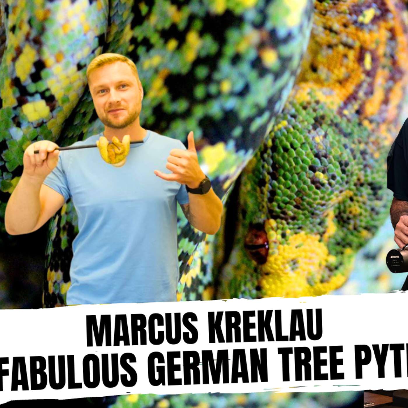 THE GREEN TREE PYTHON BREEDER SCENE OF GERMANY | ALL IN THE TREE TUESDAY LIVE