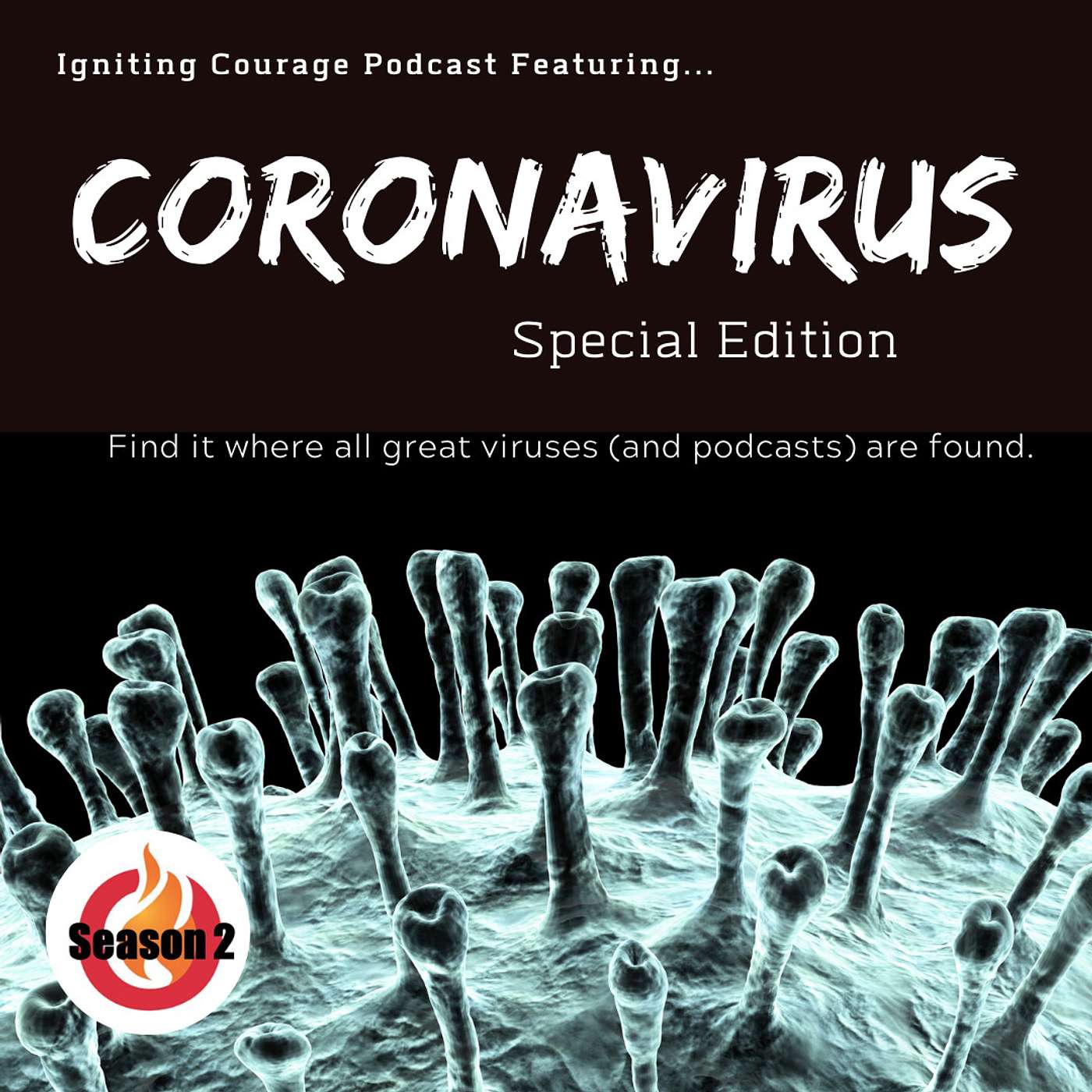 IGNITING COURAGE Podcast Episode 72: Dealing with the Fear of Unknowns; CORONAVIRUS SPECIAL EDITION episode artwork