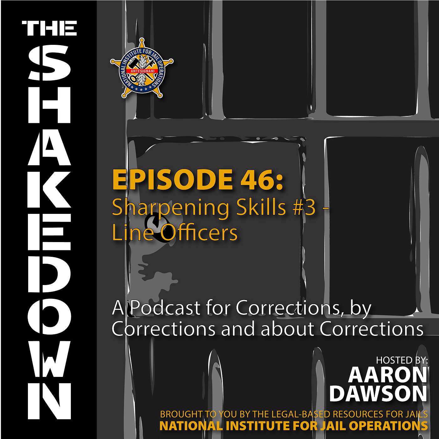The Shakedown by National Institute for Jail Operations (NIJO)