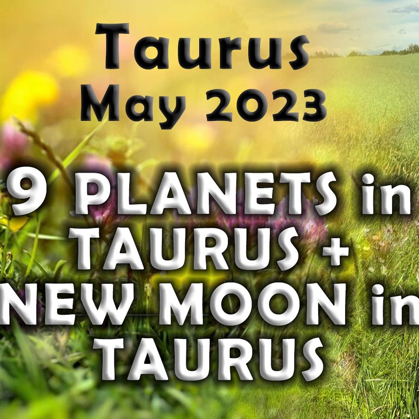 Taurus May 2023 9 PLANETS in TAURUS + NEW MOON in TAURUS (Astrology Horoscope Forecast)