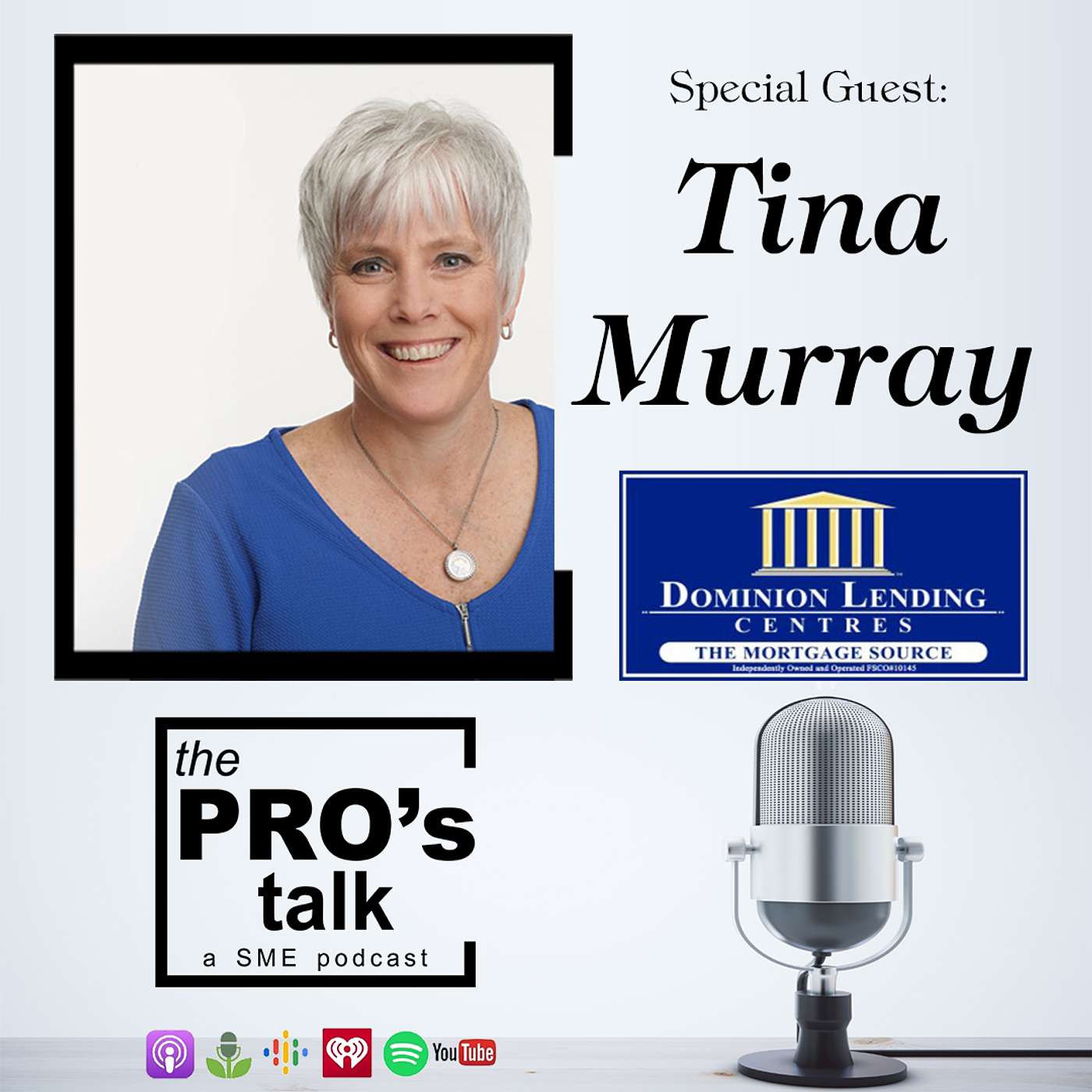 the PROs Talk - Episode 18 with Tina Murray (Session 2)