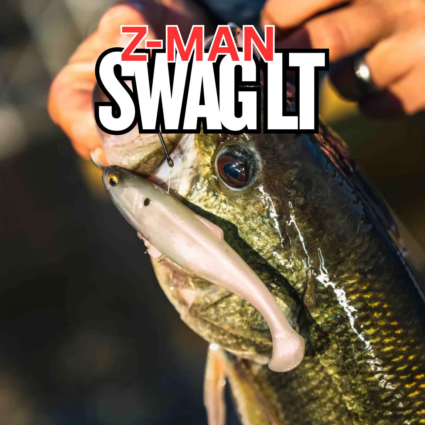 This Line Through Swimbait is DIFFERENT