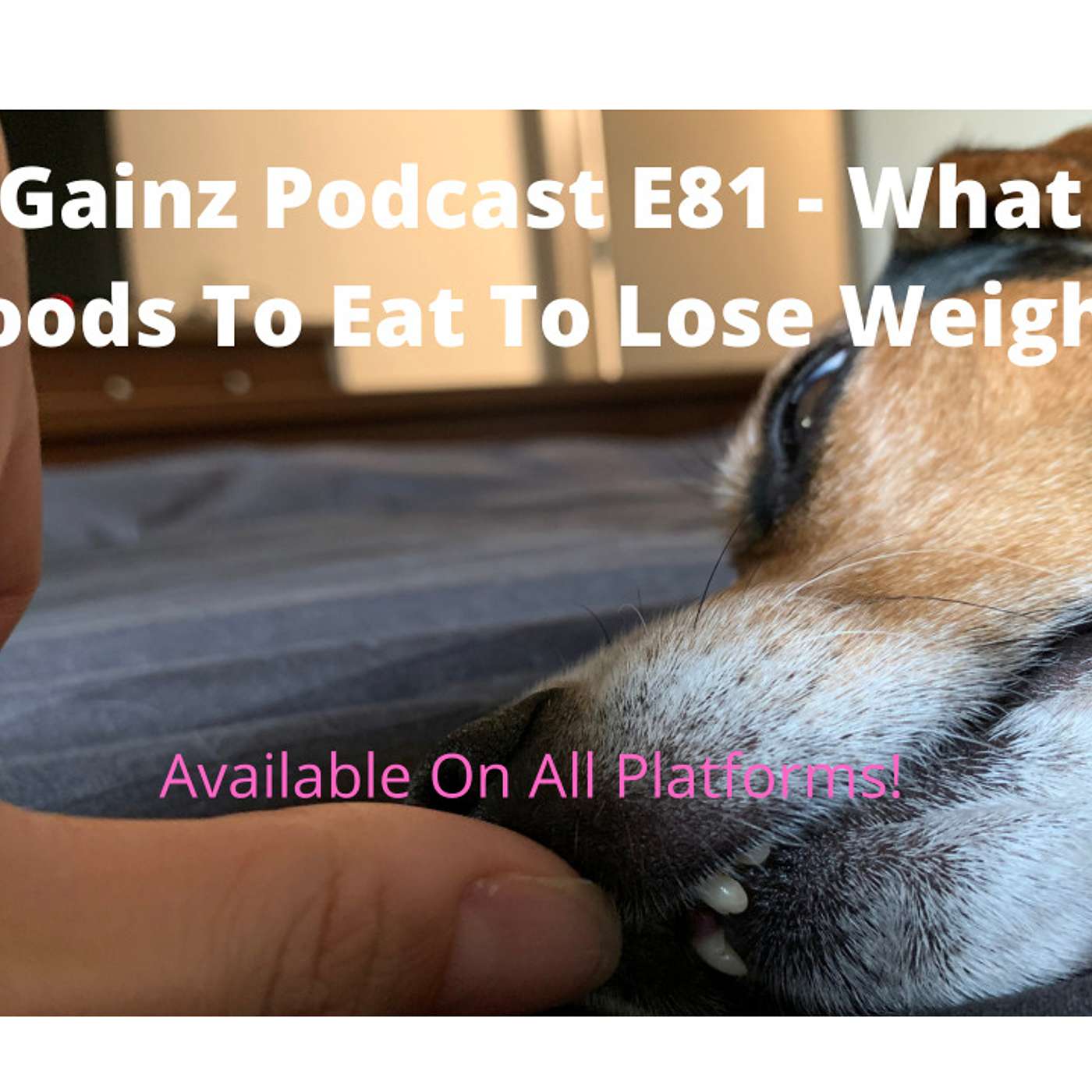 Gainz Podcast