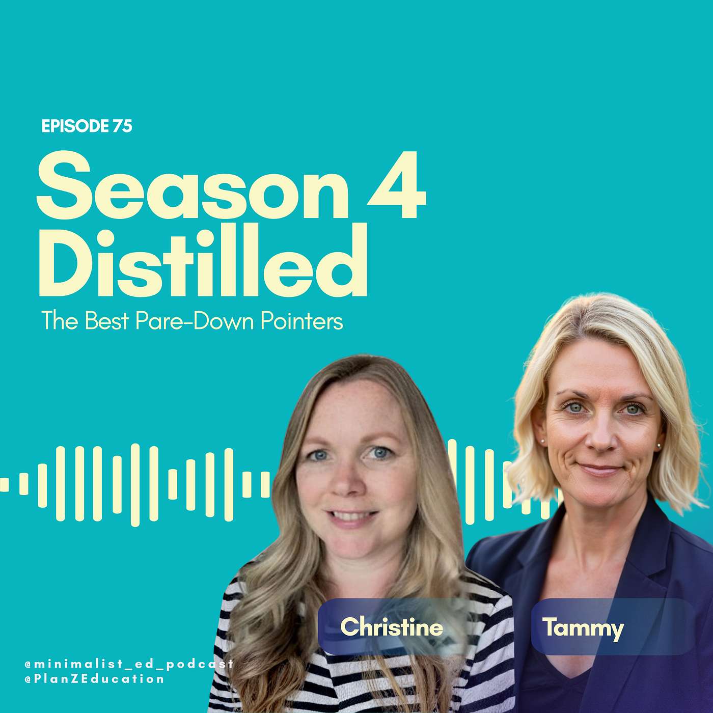 Ep 075 — Season 4 Distilled: The Best Pare-Down Pointers with Christine & Tammy episode artwork