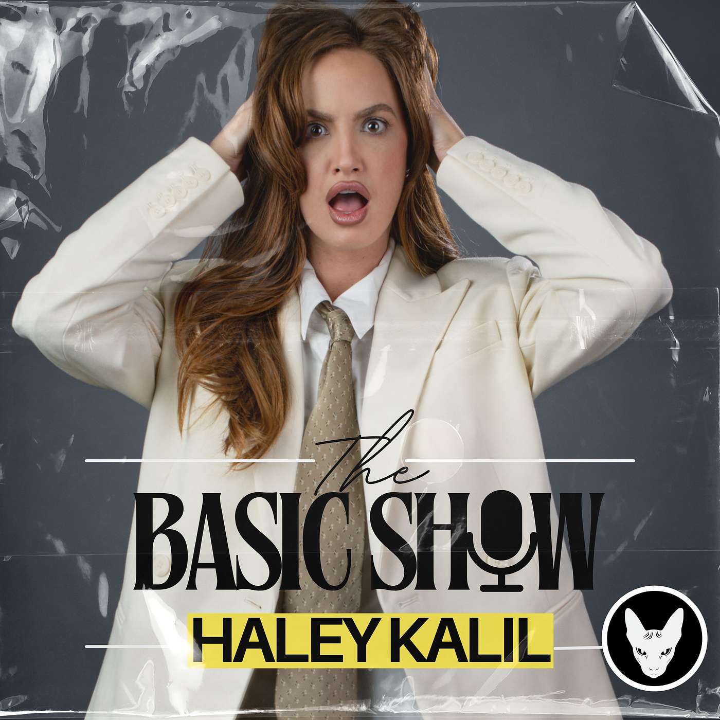 The BASIC Show