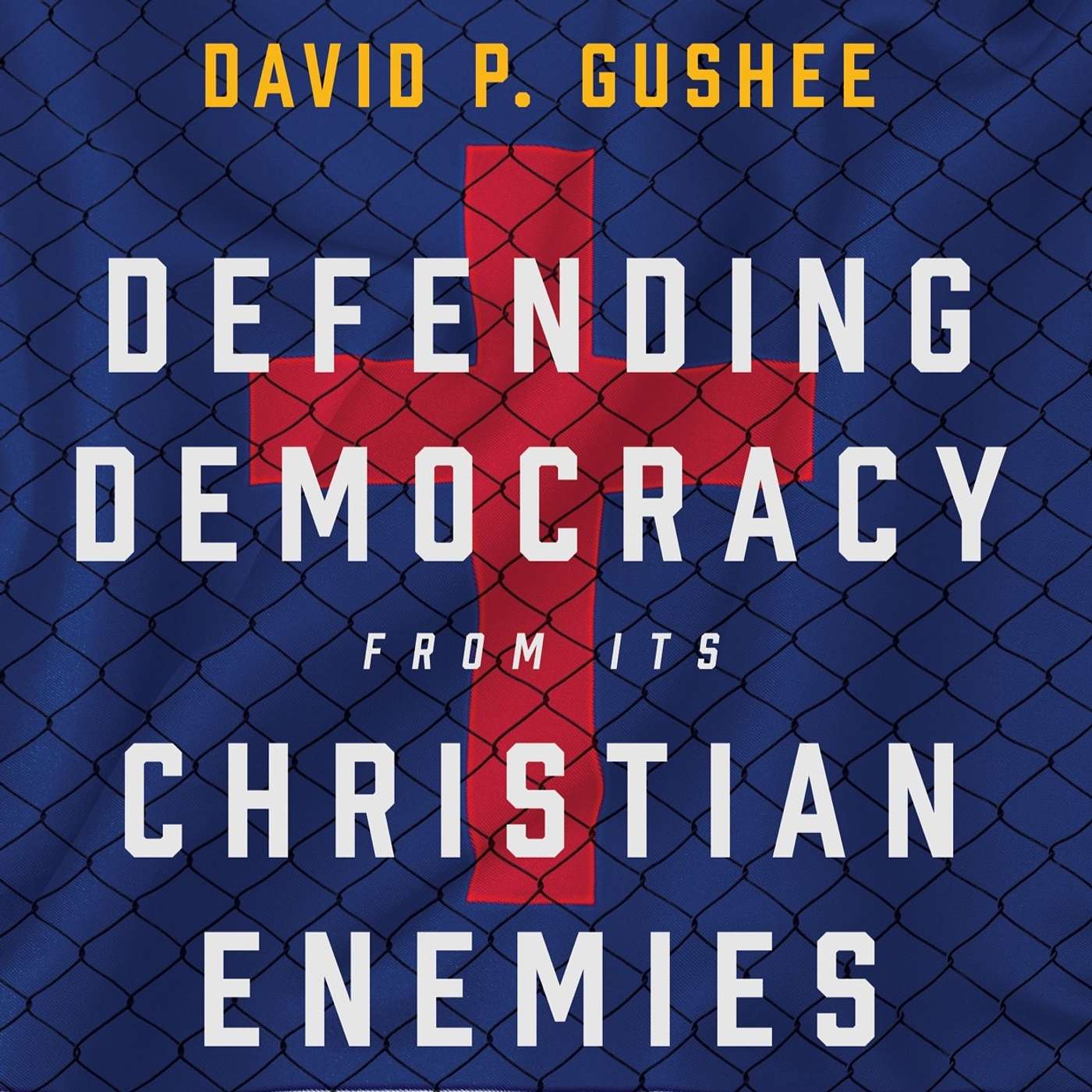 Is American Democracy in Danger? Interview with David Gushee