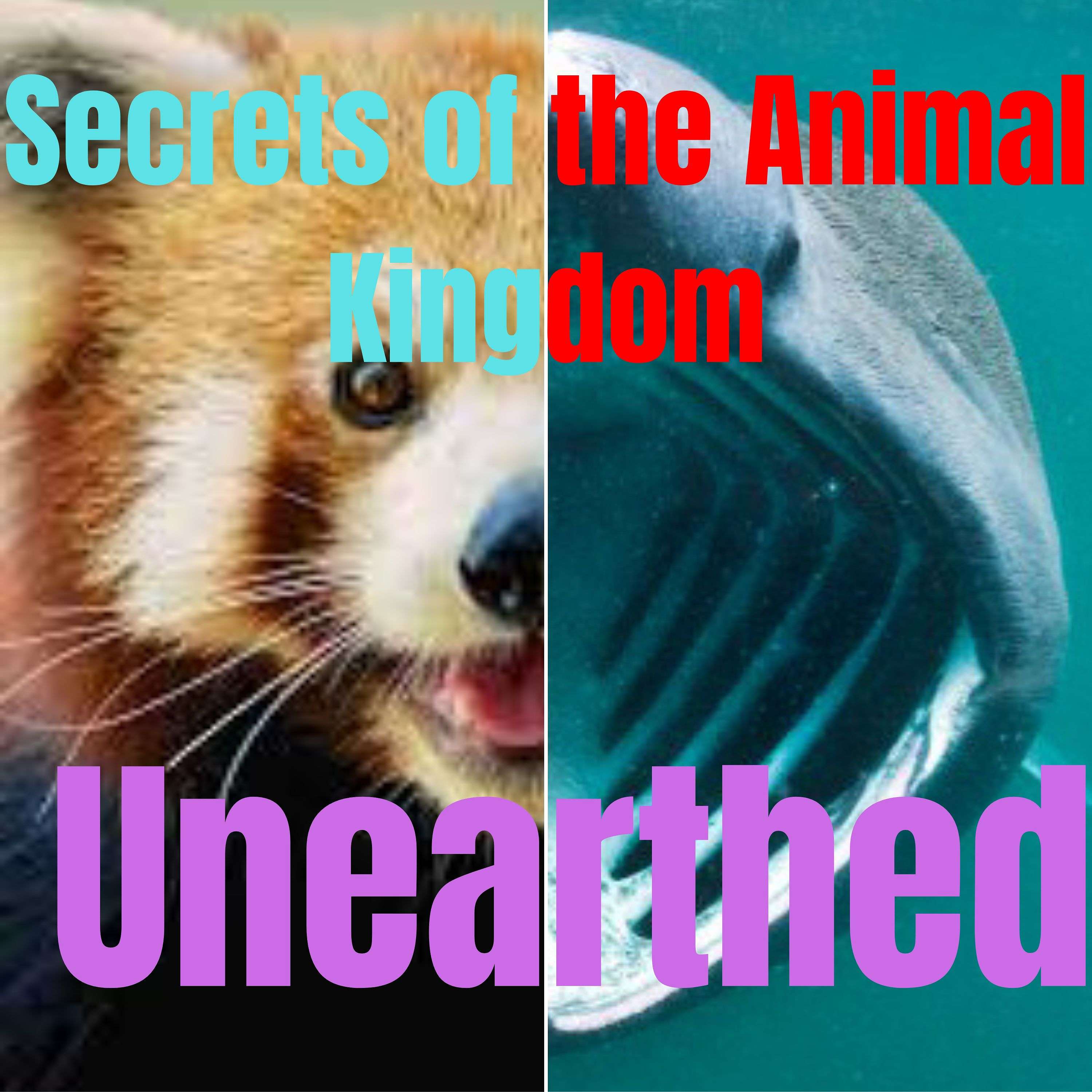 Secrets of the Animal Kingdom: Unearthed podcast artwork