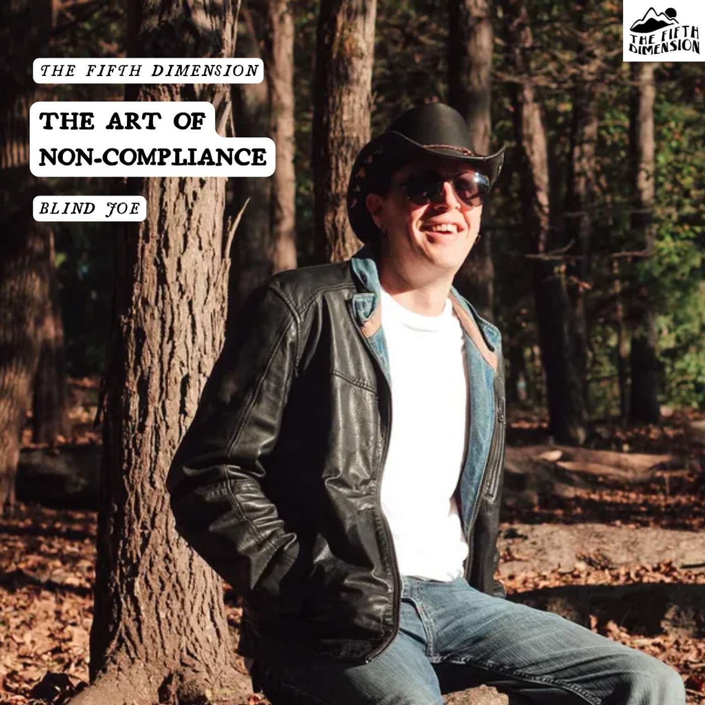 Blind Joe - The Art of Non-Compliance