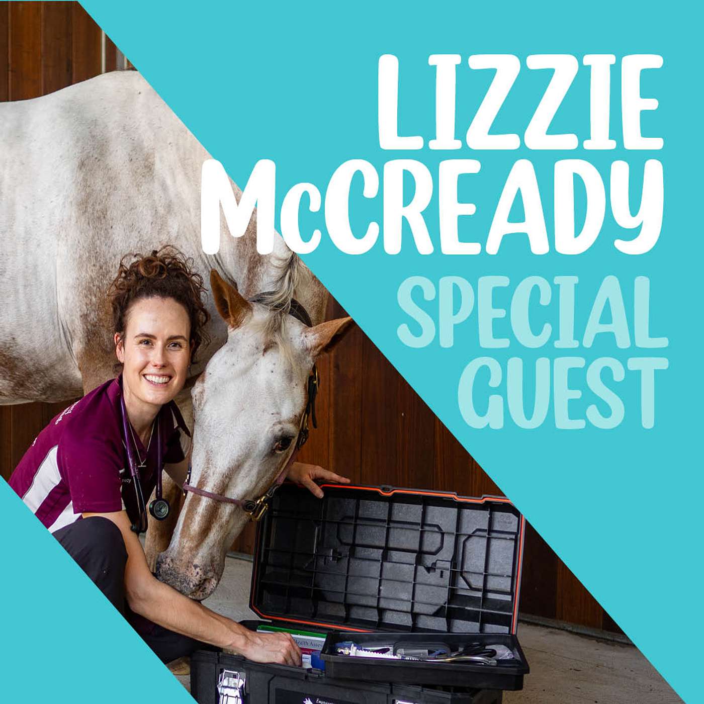 Colic: What Every Horse Owner Needs to Know with Dr Lizzie McCready Colic: What Every Horse Owner Needs to Know with Dr Lizzie McCready