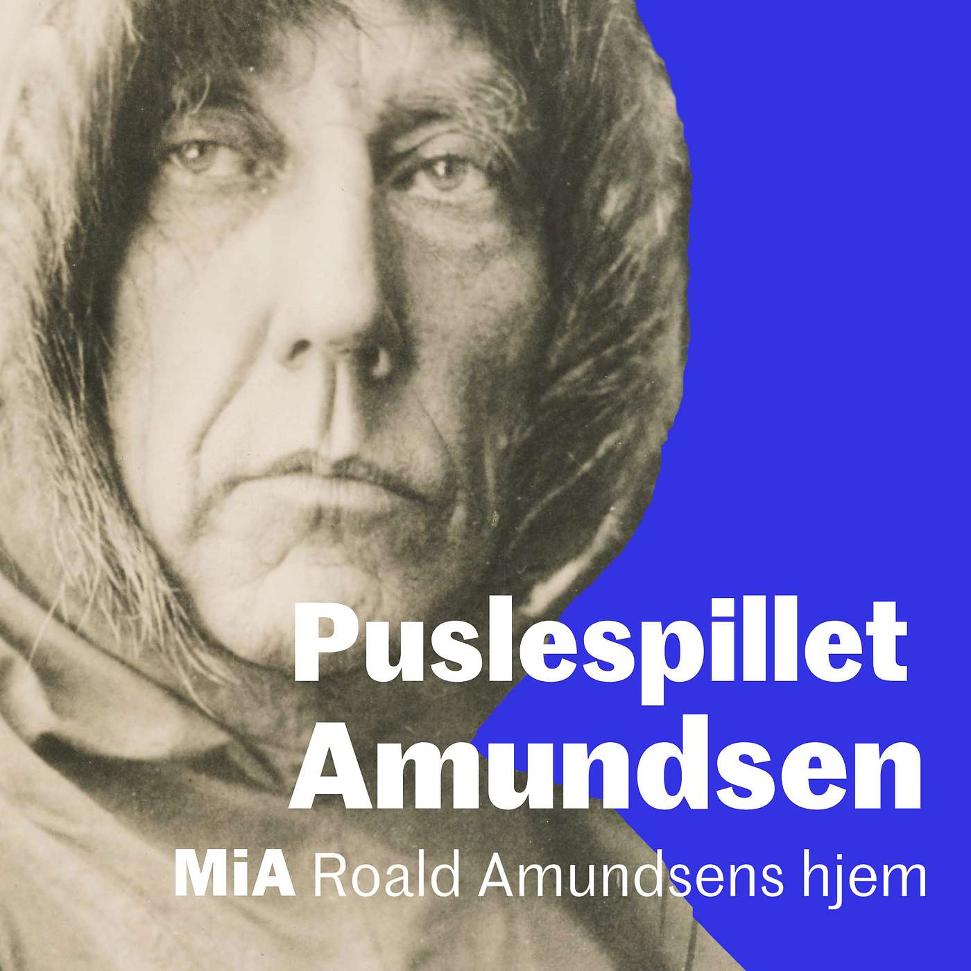 Puslespillet Amundsen