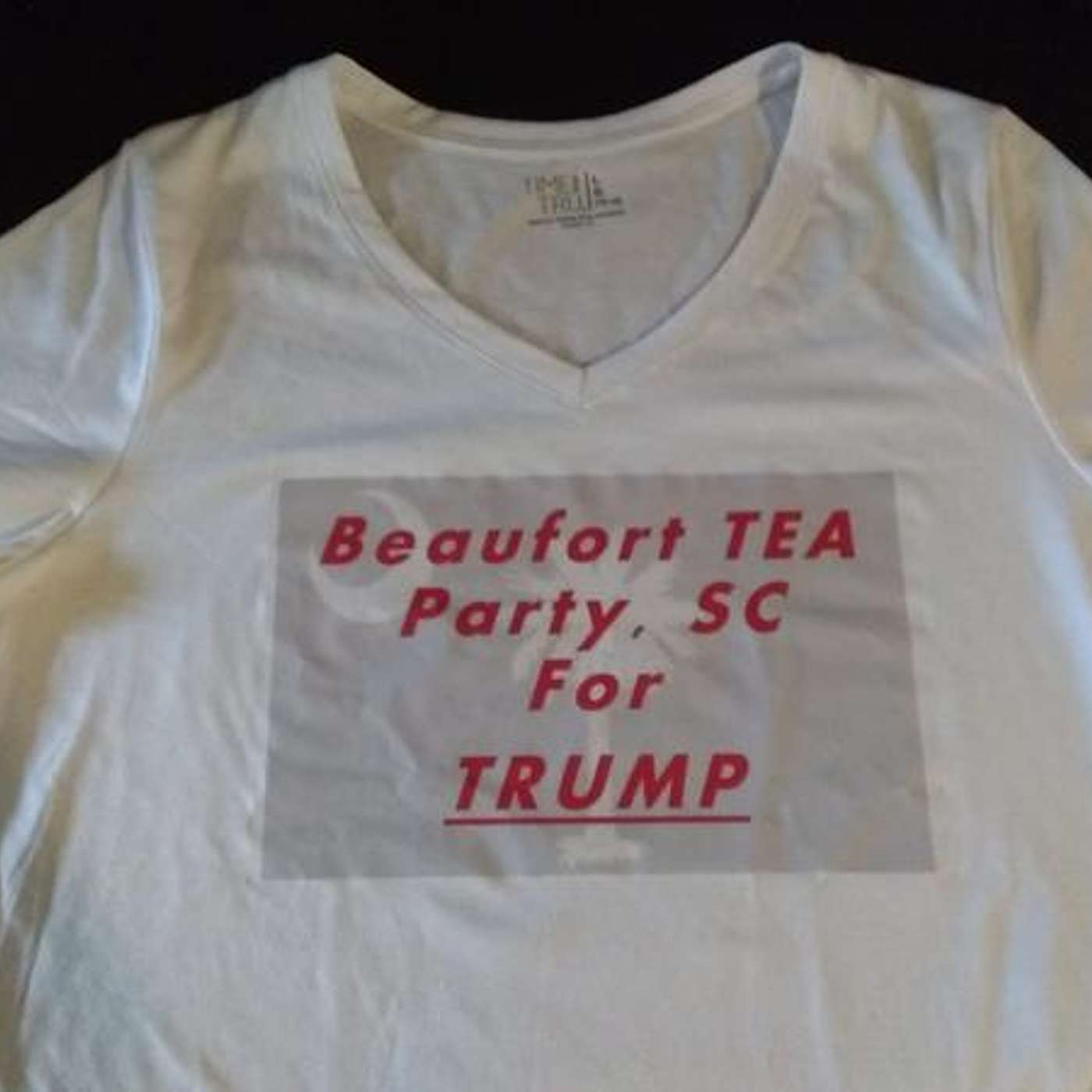 Candidates Brad Mole and David Ott at The Beaufort TEA Party, SC March Meeting episode artwork