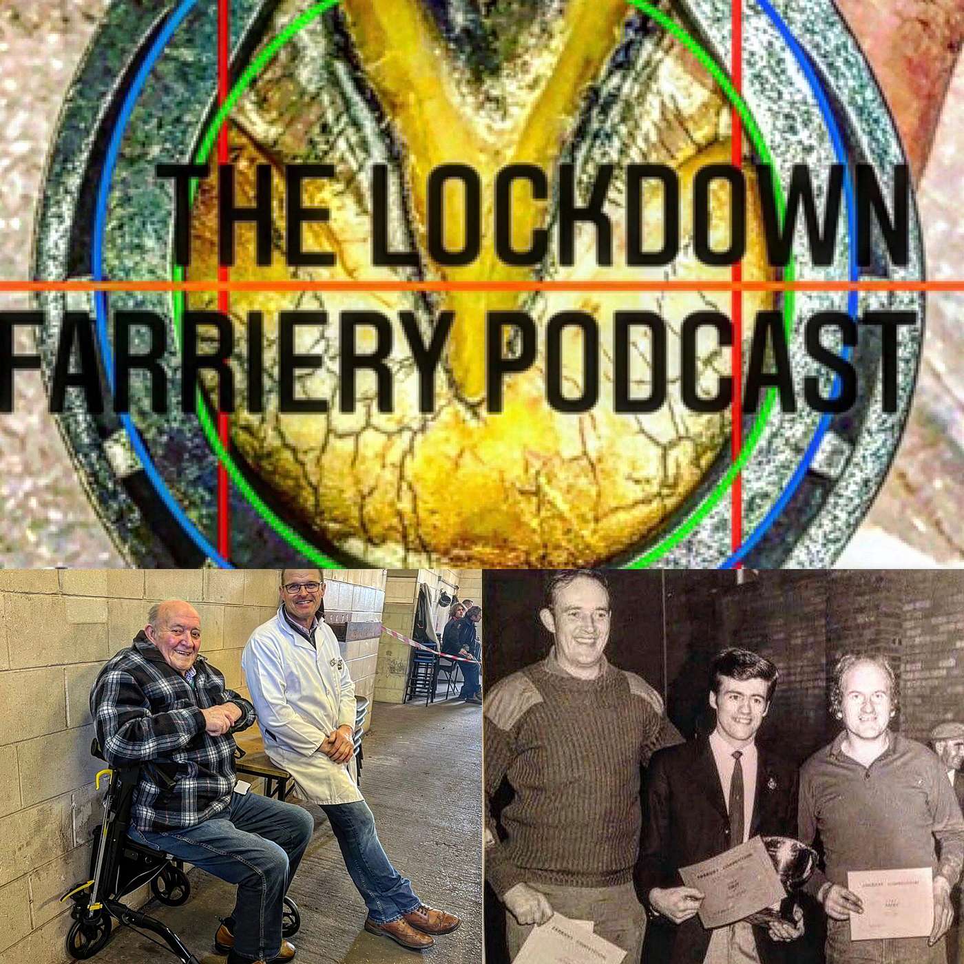 The Lockdown Farriery  Podcast