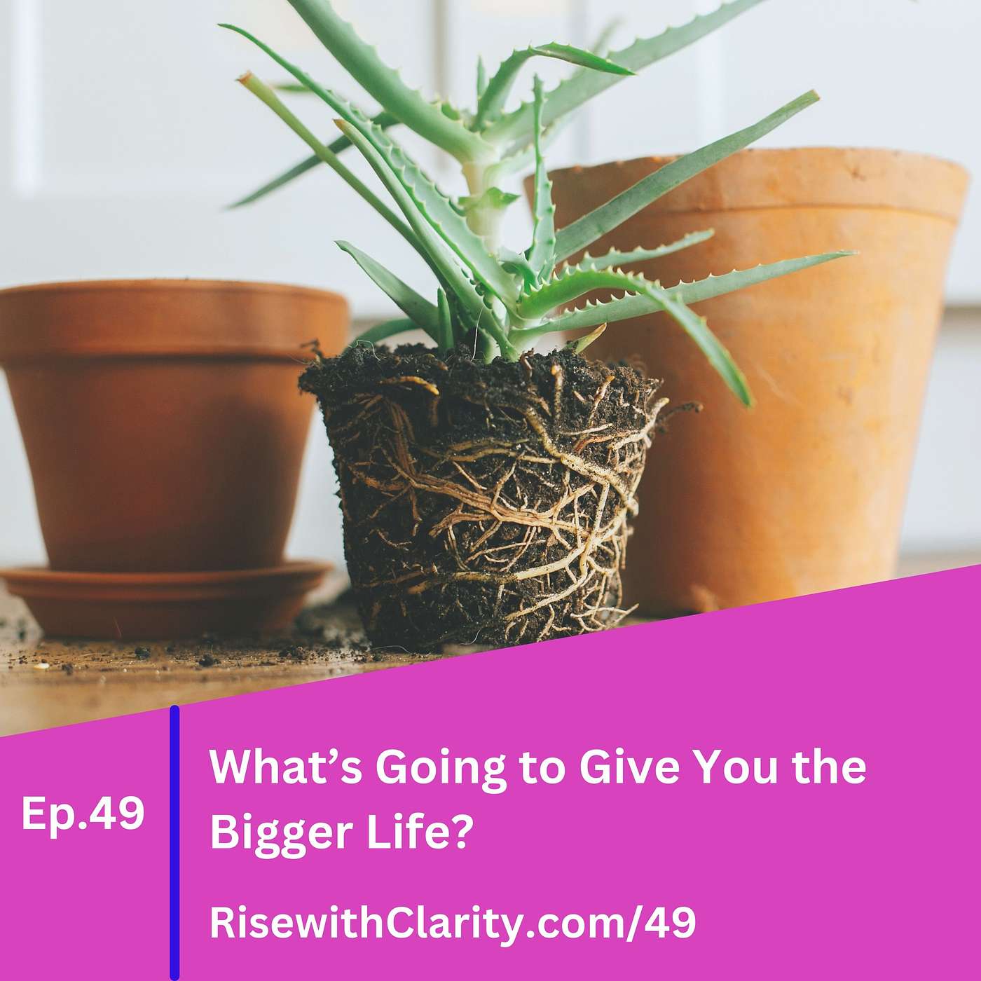 49: What's Going to Give You the Bigger Life? 49: What's Going to Give You the Bigger Life?