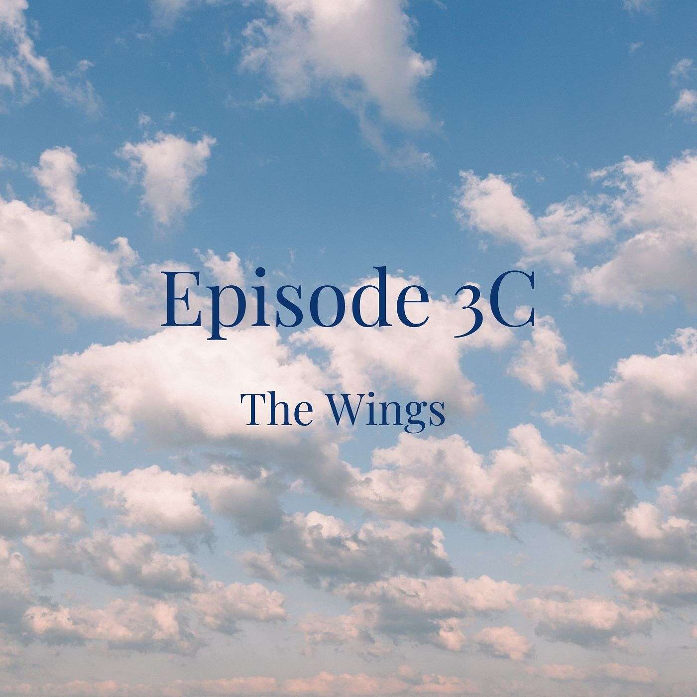 3C: The Wings