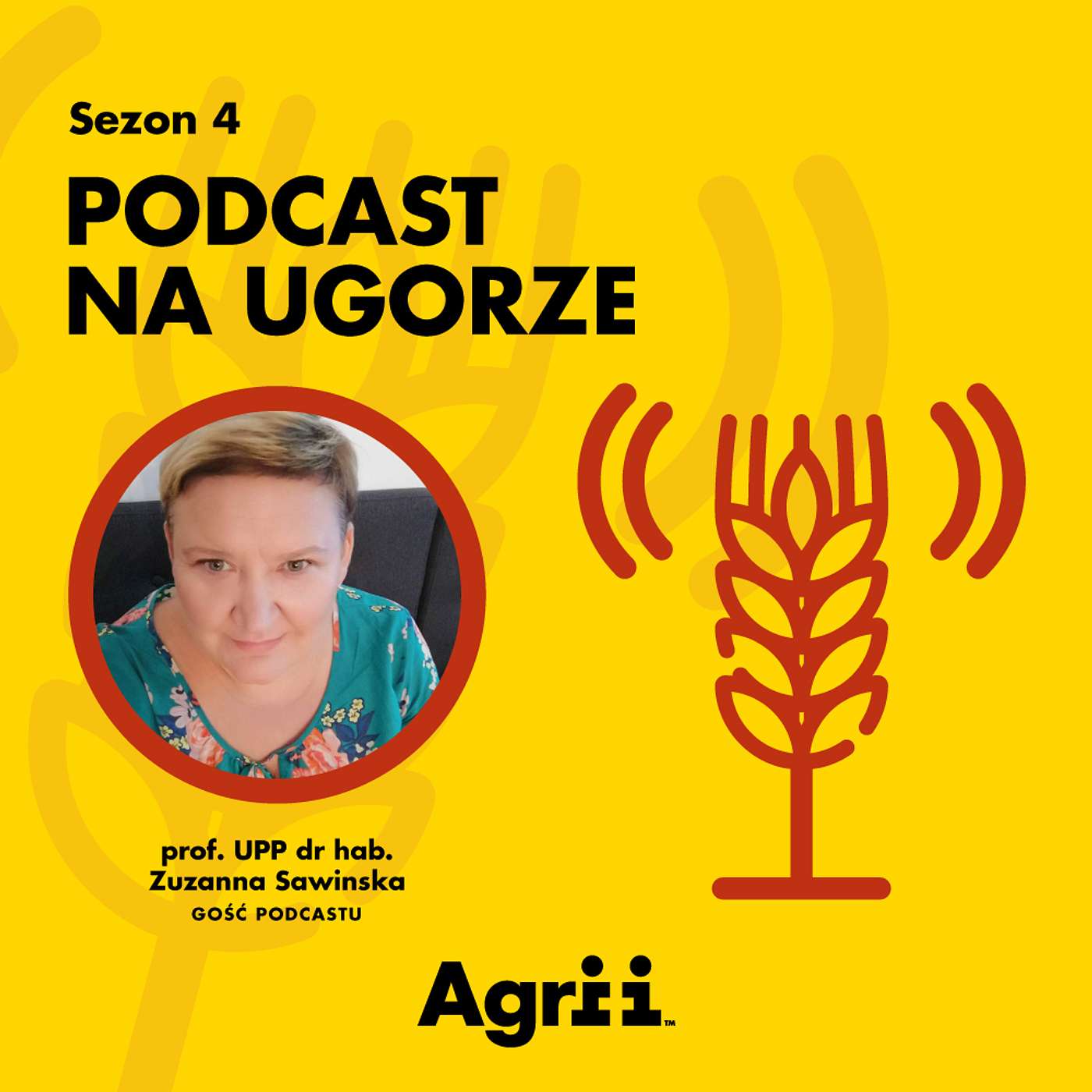 Ochrona fungicydowa zbóż - jak zaplanować skuteczne, bezpieczne dla upraw i ekonomicznie uzasadnione zabiegi? | prof. UPP dr hab. Zuzanna Sawinska